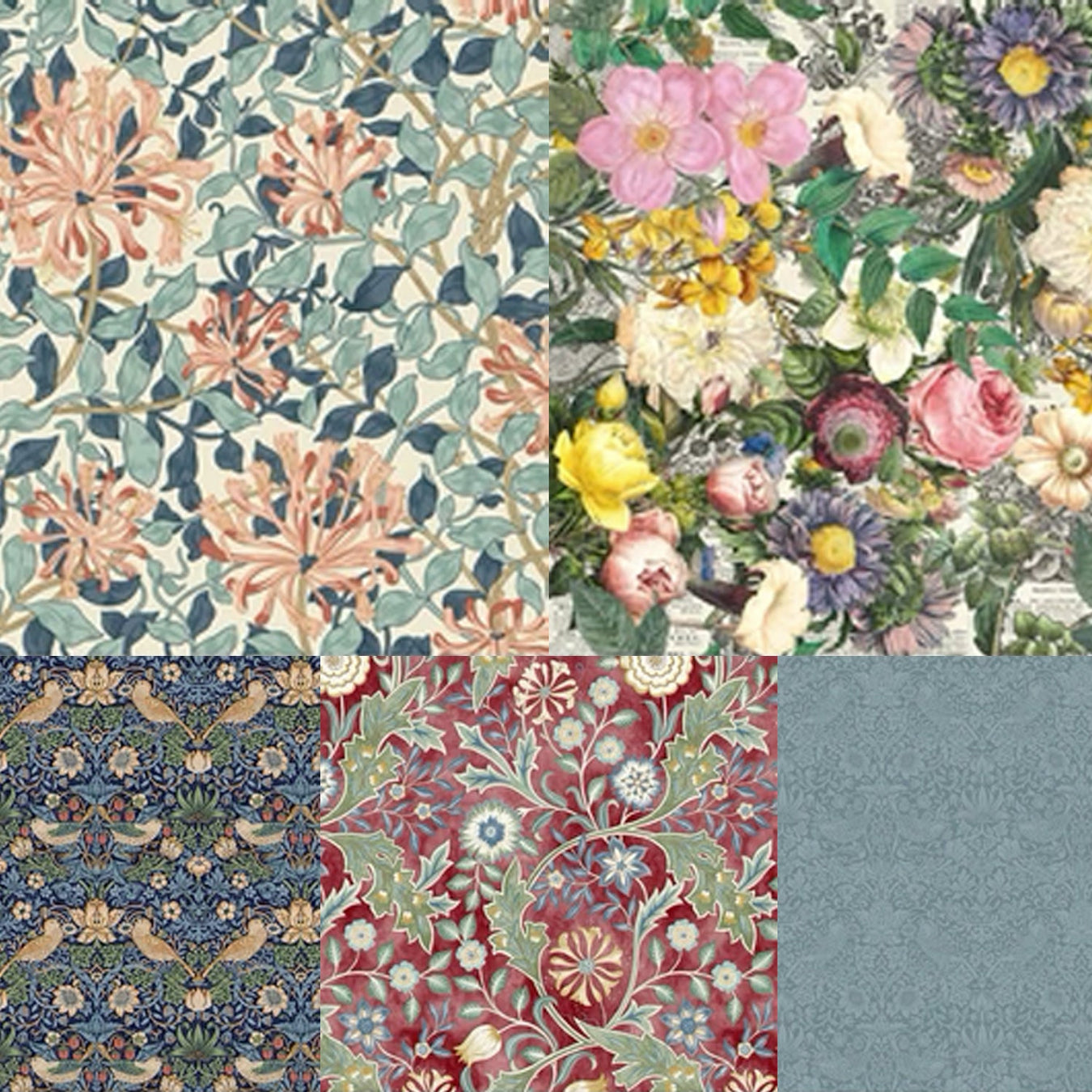 William Morris Widebacks