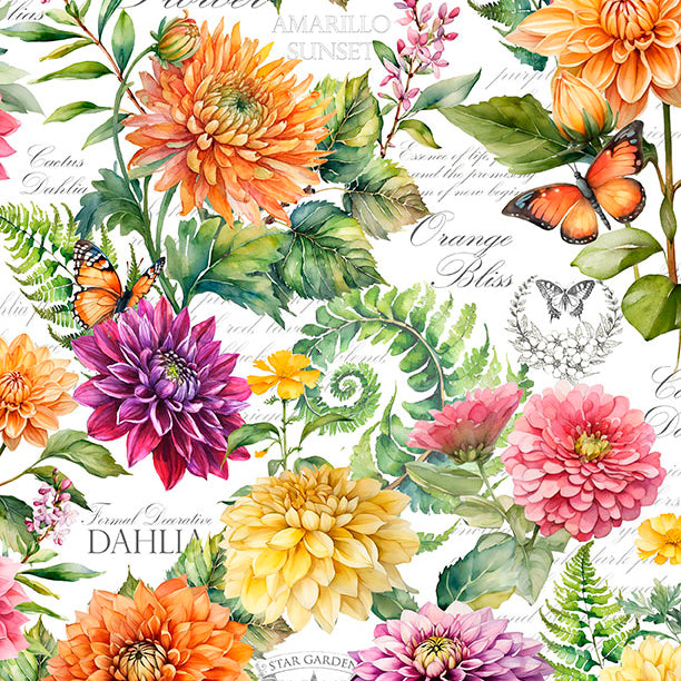 Dahlia Botanica / Large Floral in Multi