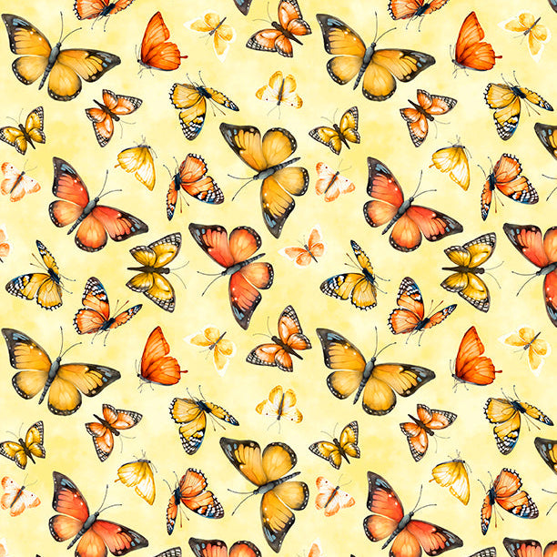 Dahlia Botanica / Butterflies in Yellow