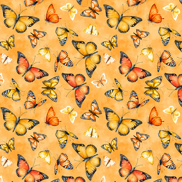 Dahlia Botanica / Butterflies in Orange