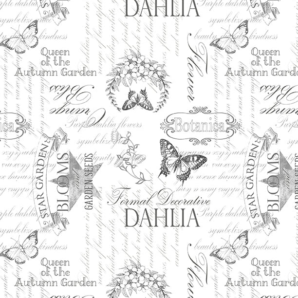 Dahlia Botanica / Ephemera in White
