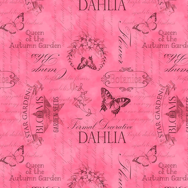 Dahlia Botanica / Ephemera in Pink