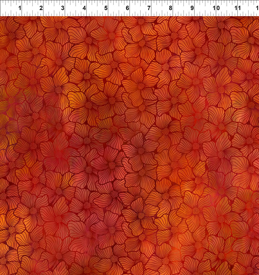 Dear Clara / Bloom in Orange