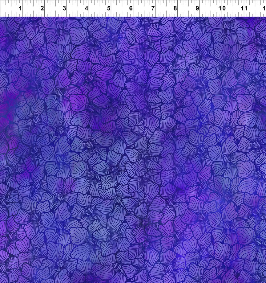 Dear Clara / Bloom in Purple