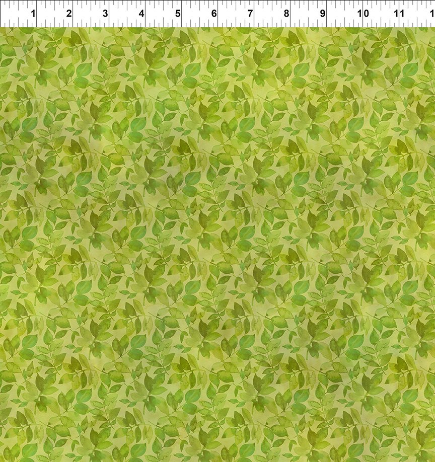 Blooming Day & Night / Green Leaves