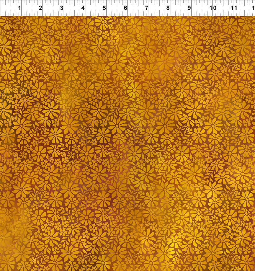Dear Clara / Field in Gold