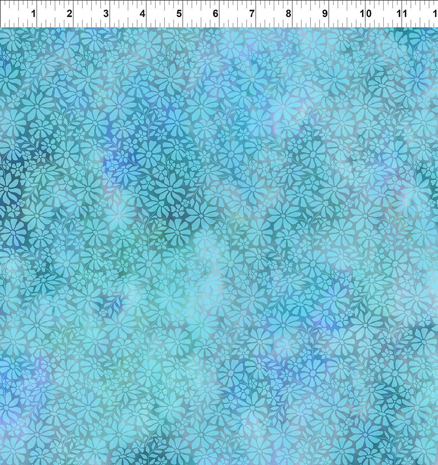 Dear Clara / Field in Sky
