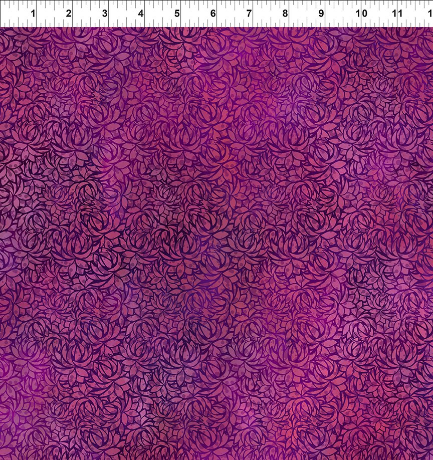Dear Clara / Enchant in Magenta
