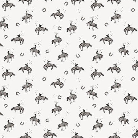 Southwest Minis / Cowboys in White