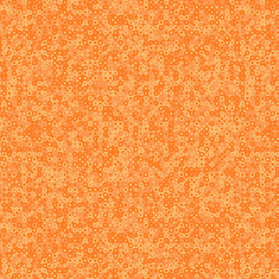 Fairy Rings / Pumpkin