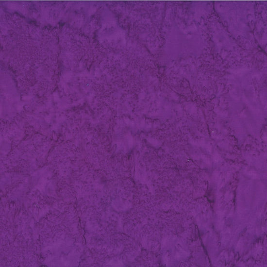 1895 Watercolors / Wild Berry