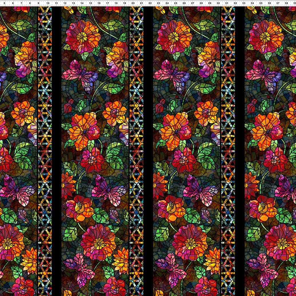 Dear Clara / Border in Black