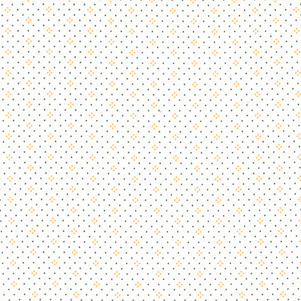 Eyelet / Ivory & Pumpkin