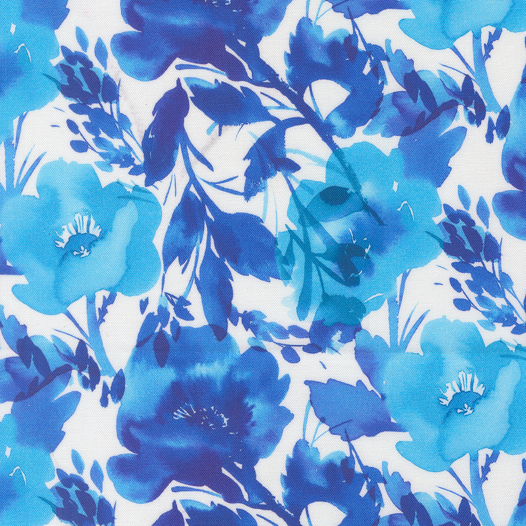 Radiant / Poppies in Sky