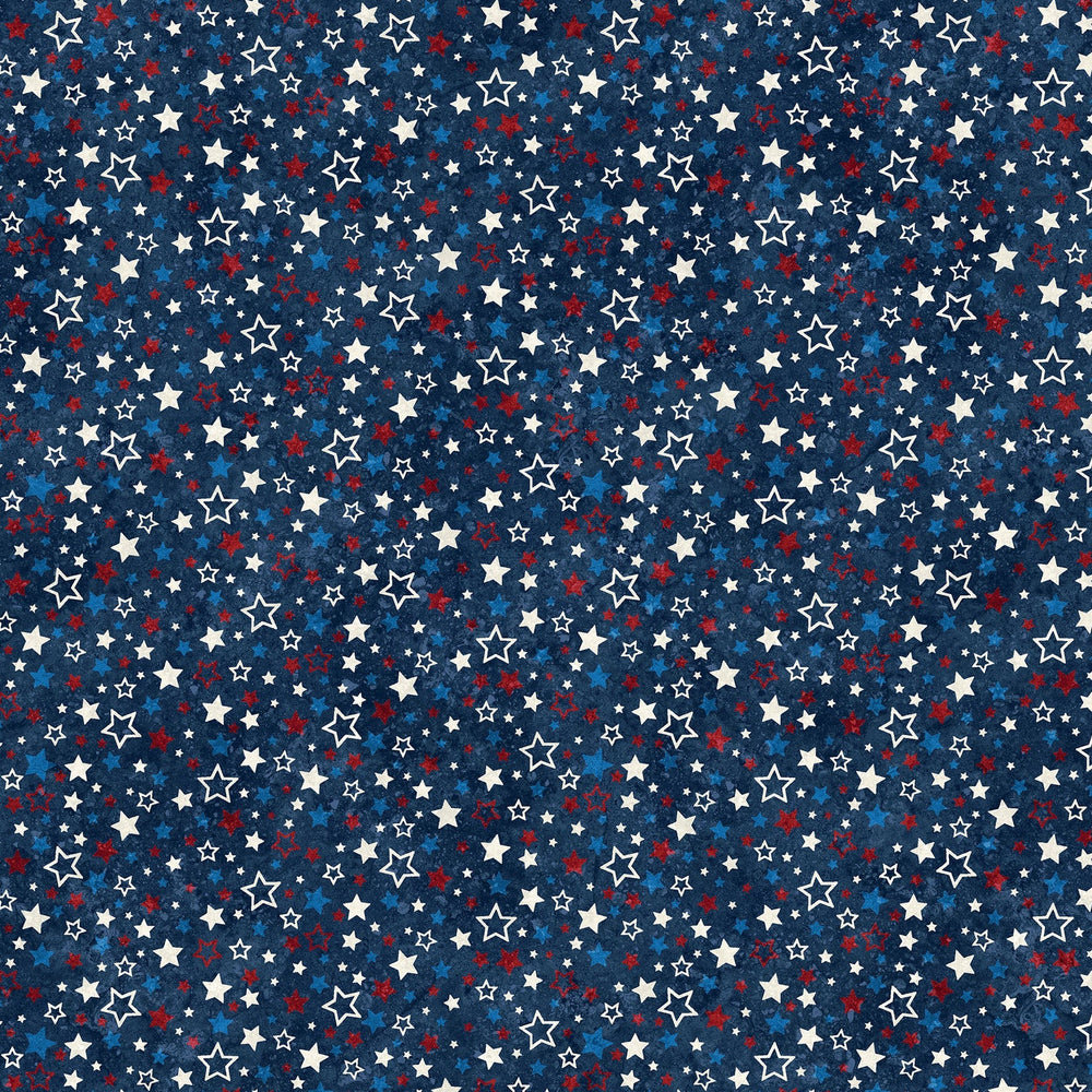 Stars & Stripes XII / Multicolored Stars on Navy