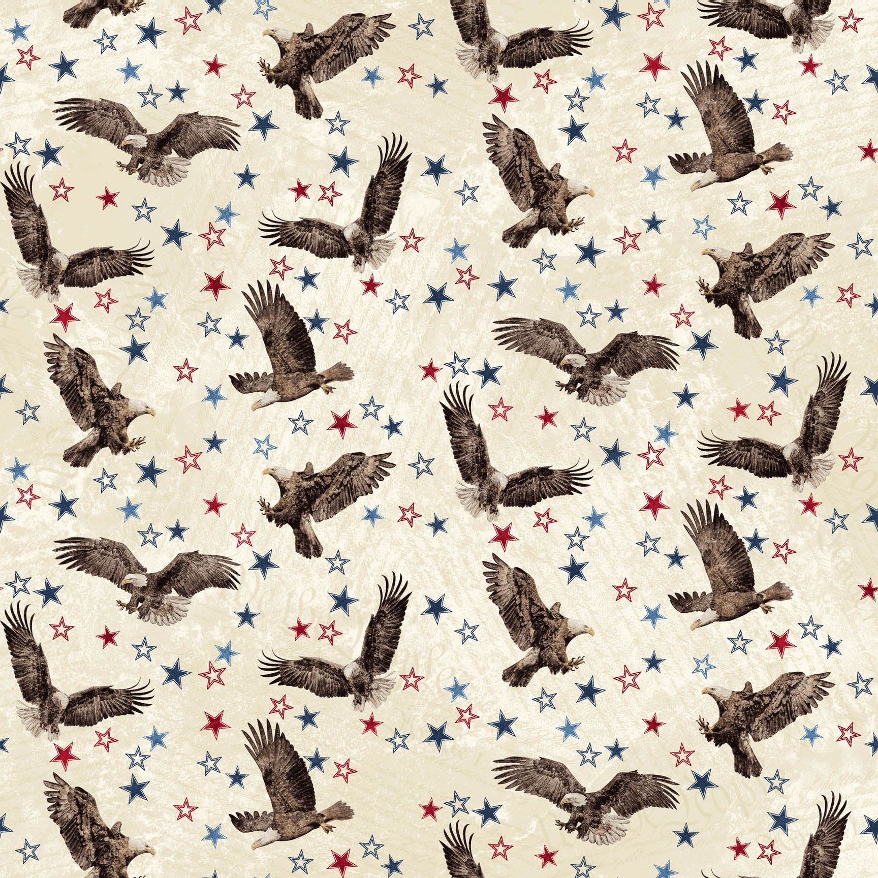 Stars & Stripes XIII / Eagles & Stars