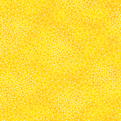 Spotsy / Bright Yellow