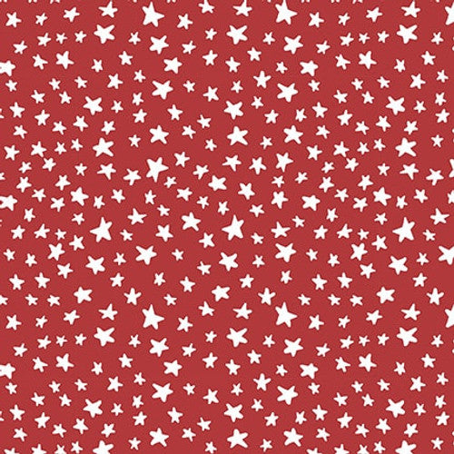 Camp USA / Stars on Red