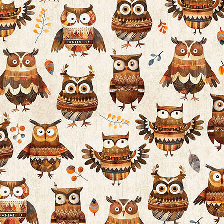 Bearsville / Owls in Oatmeal