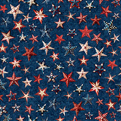 All American Snowman / Stars in Navy