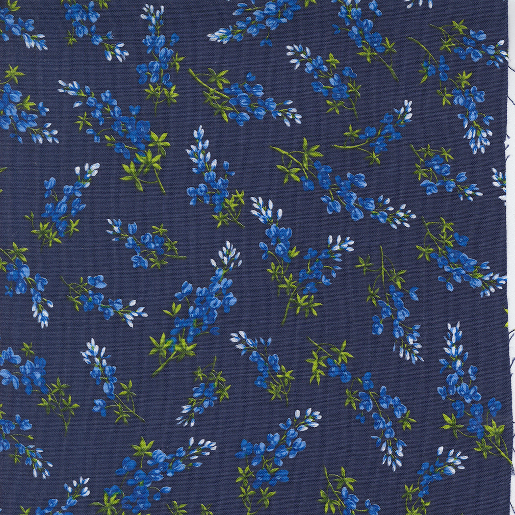 Wildflowers 2024 / Bluebonnet Toss in Indigo