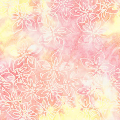Kashmir / Azaleas in Sunkissed