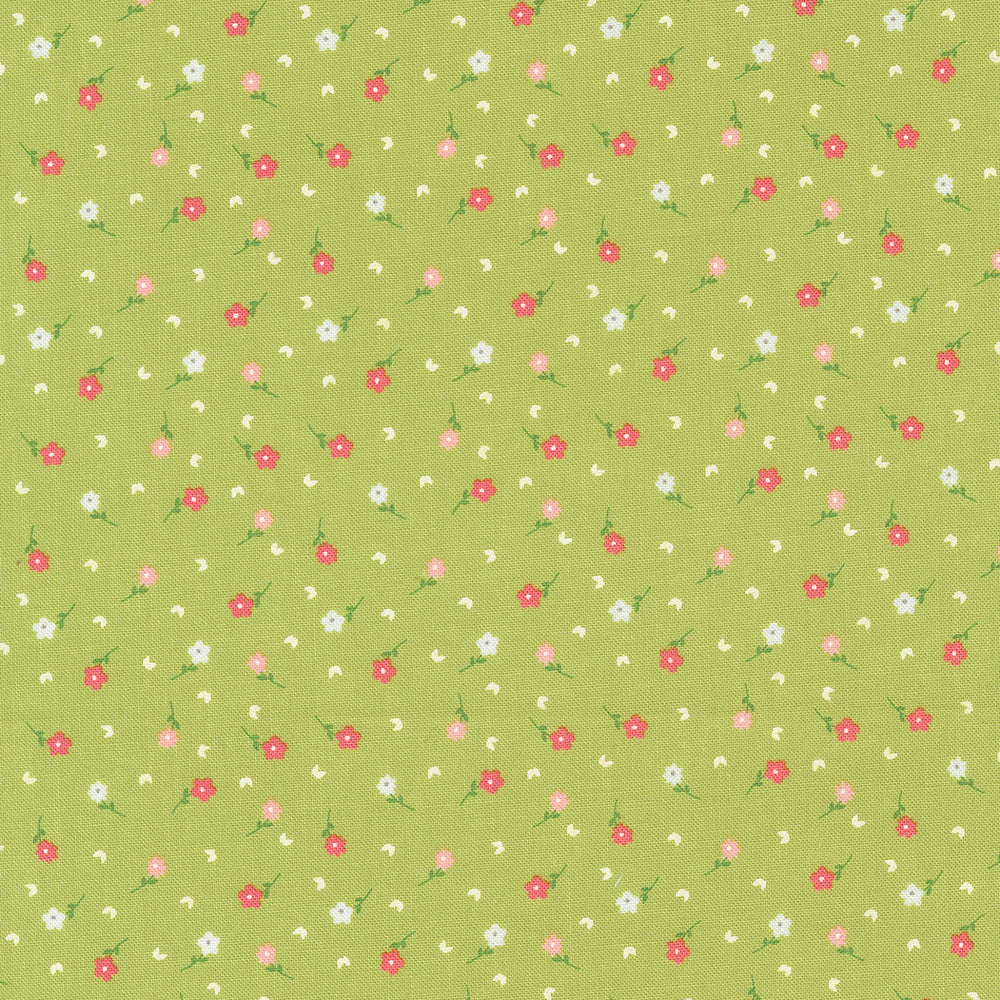 Strawberry Lemonade / Ditsy Poppies on Lime Green