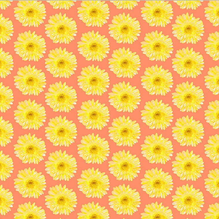 Spring Dreams / Mod Daisy in Coral