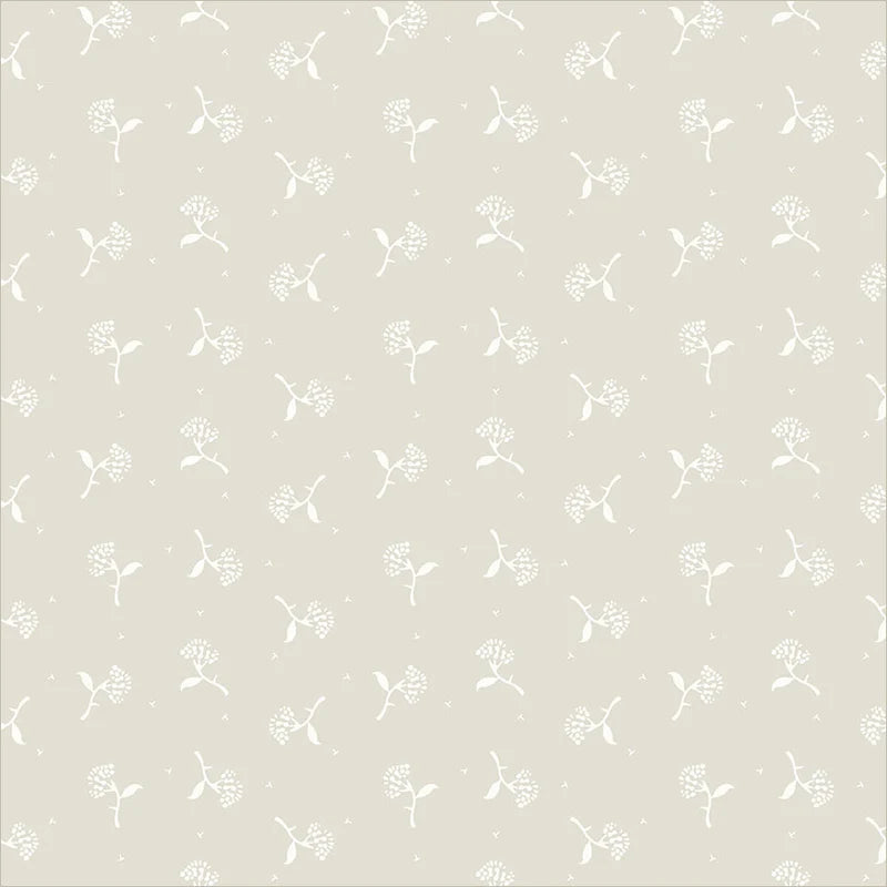 Sweet Cream / Hydrangea