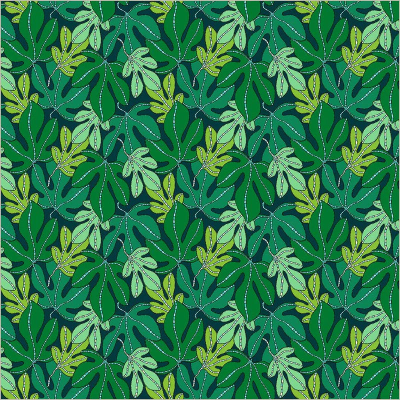 Sunshine / Monstera in Forest
