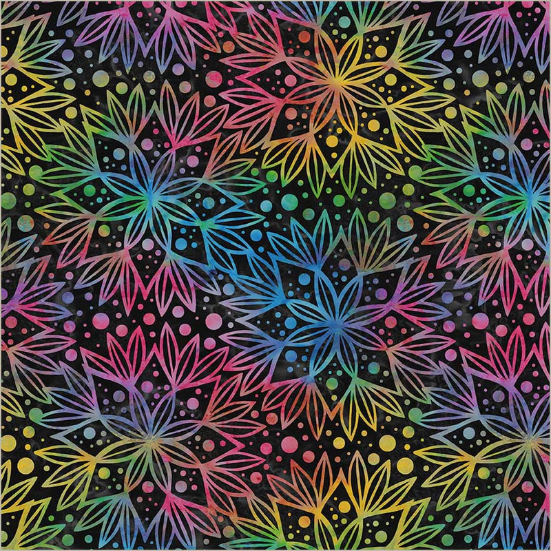 BeColourful Minky / Full Bloom in Black Rainbow