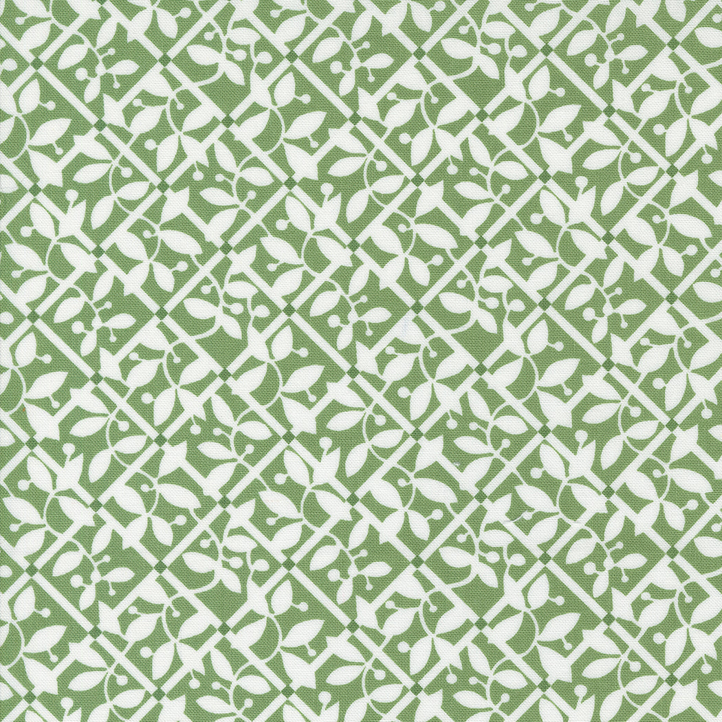 Shoreline / Lattice in Green