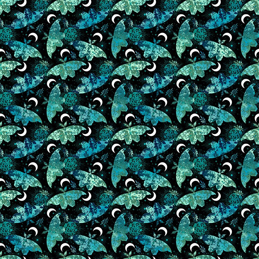 La Luna / Moths & Moons