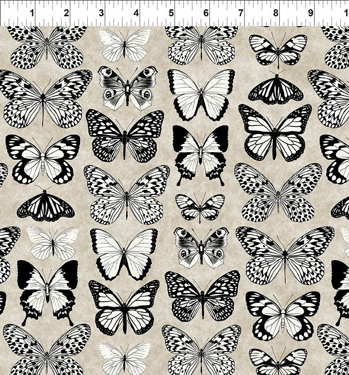 Sketchbook Prints / Butterflies in Sand