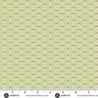 Snowberry / Starburst in Spruce