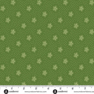 Snowberry / Snowstorm in Spruce