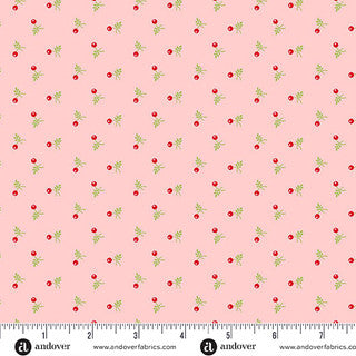 Snowberry / Snowberry in Blush