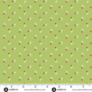 Snowberry / Snowberry in Spruce