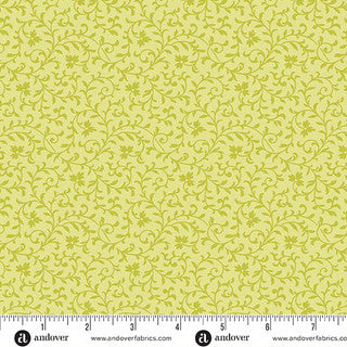 Simply Vine / Kiwi