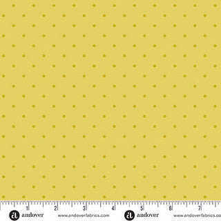 Simply Spot / Kiwi