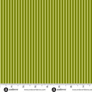 Simply Stripe / Lime