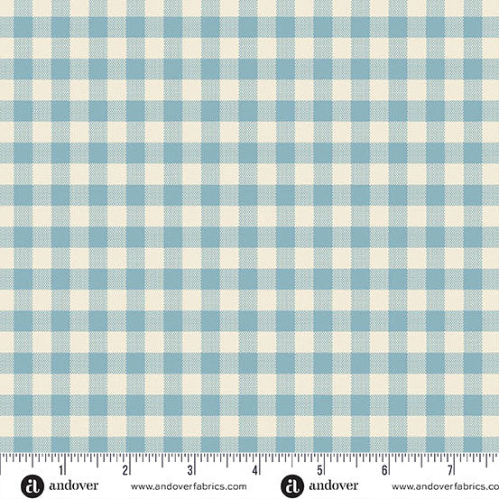 Special Delivery / Gingham in Chambray