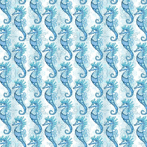 Wonders of the Ocean / Seahorses