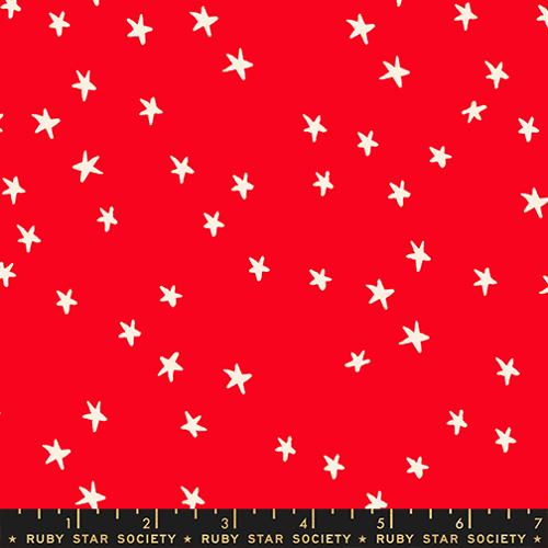 Starry New / Star Nature in Ladybug
