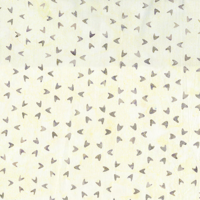 Celebrating 250 Years / Stars in Cream