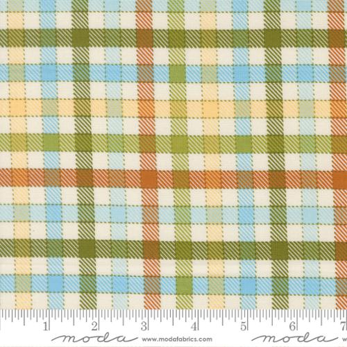 Animal Park Fun / Iguana in Multi