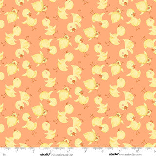 Lucky Duck / Ducks Toss in Orange