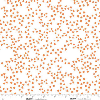 Lucky Duck / Duck Foot Print in Orange