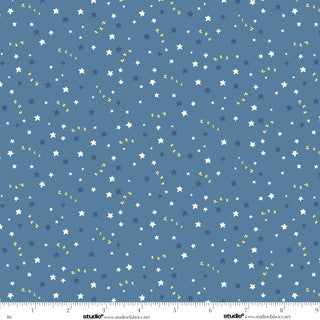 Lucky Duck / Stars Toss in Ocean
