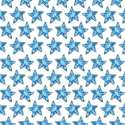 Wonders of the Ocean / Starfish